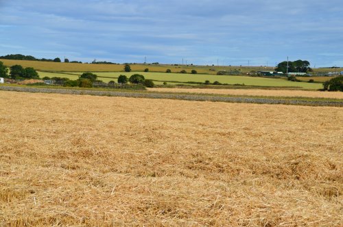 A little bit of the countryside surrounding Whitburn Village.