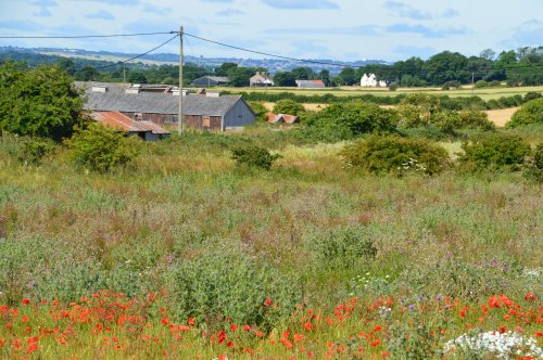 A little bit of the countryside surrounding Whitburn Village.