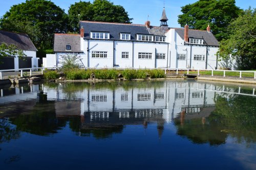One of the lovely scenes in and around Whitburn Village.