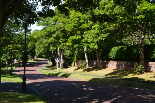 One of the lovely scenes in and around Whitburn Village.