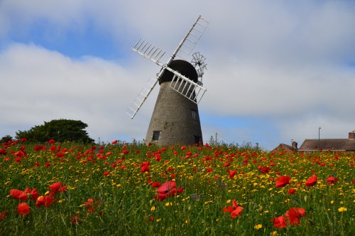 One of the lovely scenes in and around Whitburn Village.