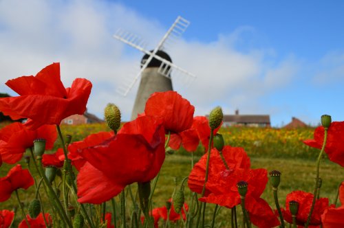 One of the lovely scenes in and around Whitburn Village.