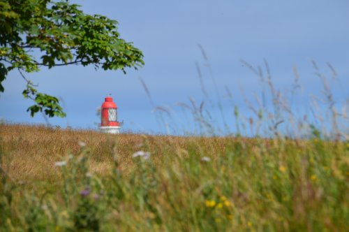 A little bit of the countryside surrounding Whitburn Village.
