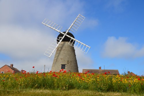 A little bit of the countryside surrounding Whitburn Village.