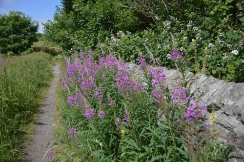 A little bit of the countryside surrounding Whitburn Village.